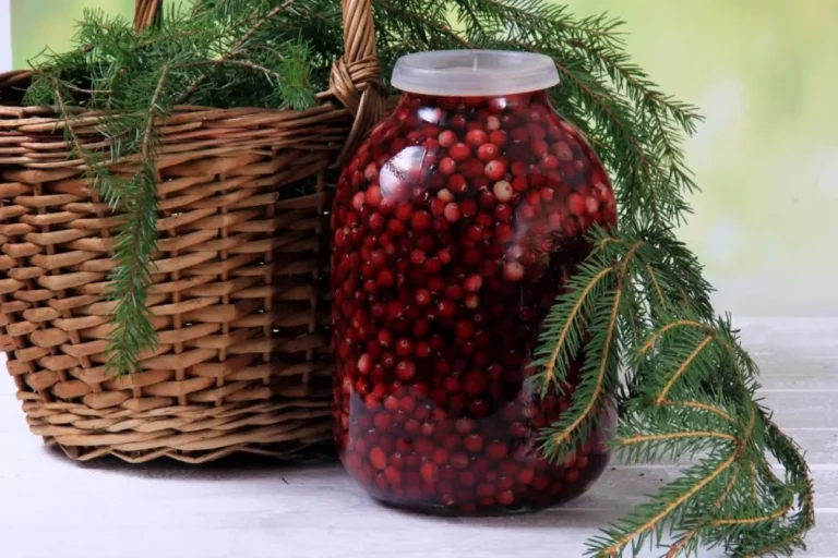 Банка мочёной клюквы на столе рядом с еловой веткой