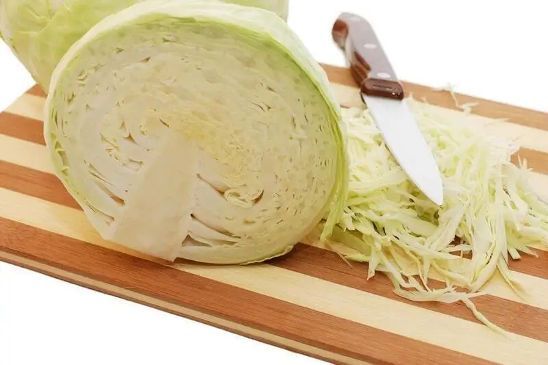 Плотный кочан белокочанной капусты для квашения